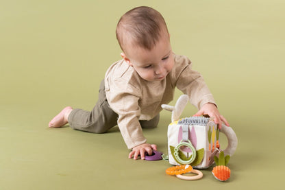 Urban Garden Activity Cube